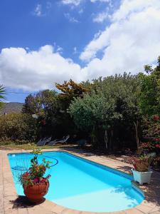 una piscina azul con plantas en un patio en Lavender Cottage, en Ciudad del Cabo