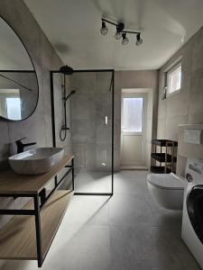 een badkamer met een wastafel, een douche en een toilet bij Apartment Lorena in Šibenik