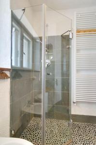 La salle de bains est pourvue d'une douche avec une porte en verre. dans l'établissement L'Oretta Moena Fata delle Dolomiti, à Moena
