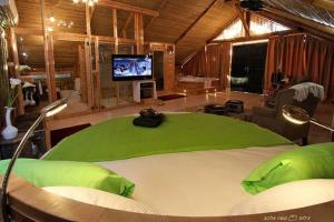 a large room with a green bed with a television at ביקתפוז וקלמנטינה- מתחם בקתות וסוויטות עם ג'קוזי פרטי ובריכה משותפת in Liman