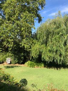 Fotografie z fotogalerie ubytování Quinta do Troviscal v destinaci Castelo do Bode