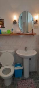 a bathroom with a toilet and a sink and a mirror at Bonita Oasis Beach Resort in Moalboal