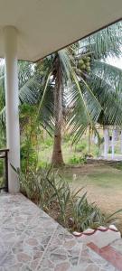 una palmera frente a una casa con porche en Bonita Oasis Beach Resort, en Moalboal