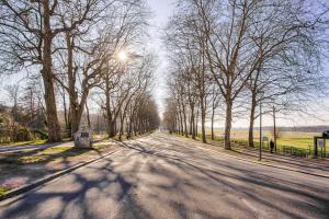 een lege weg met bomen aan weerszijden bij Casa Amour — Balneo, cosy & relaxation in Caen