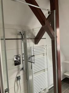 a shower in a bathroom with a glass shower stall at Apartment an der Honigbar in Leipzig