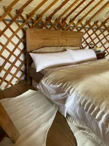 Gallery image of Camping Yurt In the Mountains, near Barcelona in Vallromanes