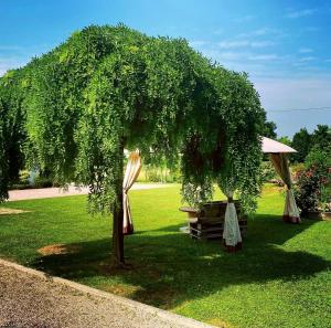 Zahrada ubytování B&B Il Sentiero