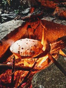 a chicken sitting on top of a fire at Hostel Hideout in Bhīm Tāl