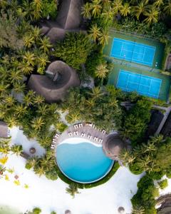 an overhead view of a resort pool with palm trees at LUX* South Ari Atoll Resort & Villas in Maamigili
