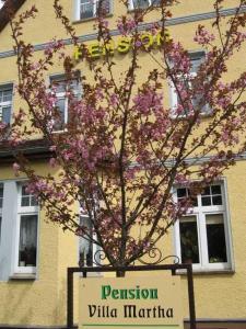 una señal frente a un edificio con un árbol en Pension Villa Martha, en Burg Stargard