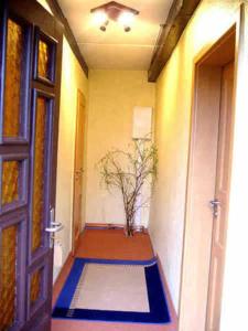 een hal met een deur en een plant op de vloer bij Ferienhaus Schöne 
