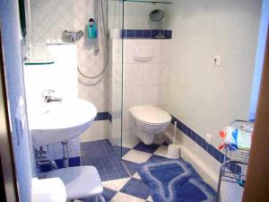 a bathroom with a toilet and a sink and a shower at Ferienhaus Schöne in Lebbin