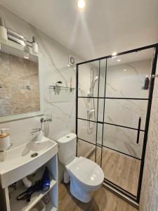 a bathroom with a shower and a toilet and a sink at Dreilini Residence in Dreiliņi
