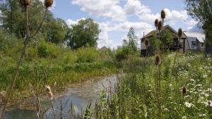 a stream in a field with a house in the background at Songthrush in Somerford Keynes