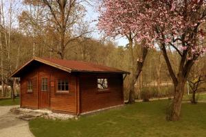 una piccola cabina in legno in un parco con un albero di Schullandheim a Neubrandenburg