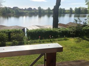 a bench sitting in front of a lake at " Bernies Seeglück" in Penzlin
