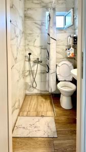 La salle de bains est pourvue de toilettes et d'une douche. dans l'établissement Village escape: στην Πρέβεζα, à Flámpoura