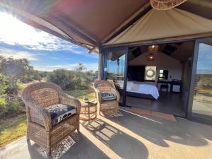 a bedroom with two chairs and a bed in a tent at Charihandra Game Lodge in Addo