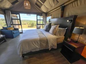 1 dormitorio con cama, sofá y ventana en Charihandra Game Lodge en Addo