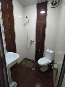 uma casa de banho com um WC, um lavatório e um chuveiro em BK GOLD HOTEL em Batumi