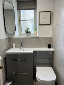 a bathroom with a sink and a toilet and a mirror at Norwood Cottage in Kirkby Lonsdale