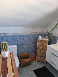 baño con aseo, lavabo y cactus en La Plaine-itude & Spa, en Saint-Paul
