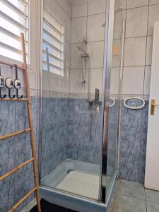 a shower with a ladder in a bathroom at La Plaine-itude & Spa in Saint-Paul