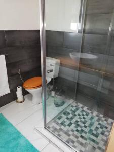 a bathroom with a toilet and a glass shower at Dawson's Creek in Cape Town +24 photos