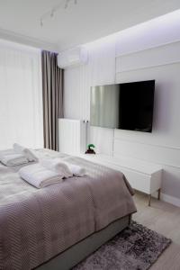 TV a/nebo společenská místnost v ubytování APARTAMENT WRAŻEŃ Kraków