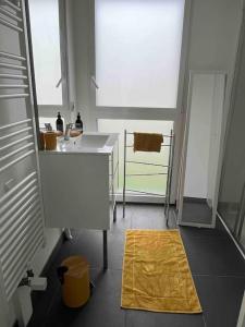 ein Badezimmer mit einem Waschbecken, einem Spiegel und einem gelben Teppich in der Unterkunft Villa 8 pers proche hypercentre parking gratuit in Vannes
