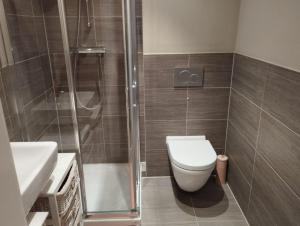 Amalien 12 في ميونخ: حمام مع دش ومرحاض ومغسلة