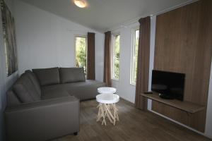 Alphen的住宿－Boslodge XL，带沙发和电视的客厅