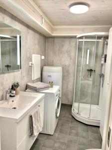 bagno con doccia, lavandino e lavatrice di Hovden Appartment Hovdenut a Hovden