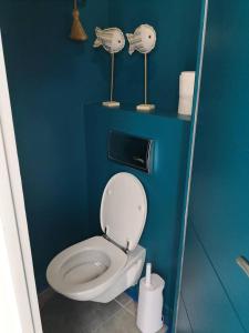 ein Bad mit einem WC in einer blauen Wand in der Unterkunft Villa les Maguettes in Le Crotoy