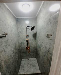 a bathroom with a walk in shower with a shower head at ZhanHotels in Almaty