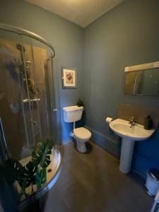 uma casa de banho com um WC, um lavatório e um chuveiro em Pershore Rooms at The Star em Pershore