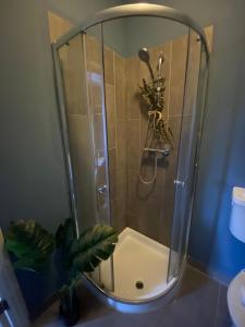 a shower with a glass door in a bathroom at Pershore Rooms at The Star in Pershore