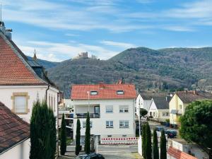 een stad met huizen en een kasteel op een heuvel bij Schlosskoje - Ihr FerienZuhause in der Pfalz in Neustadt an der Weinstraße