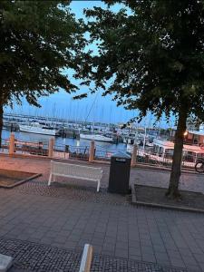 Φυσικό τοπίο κοντά σε αυτό το διαμέρισμα