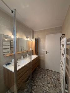 uma casa de banho com um lavatório e um chuveiro em Maison aux Portes de Paris em Vitry-sur-Seine