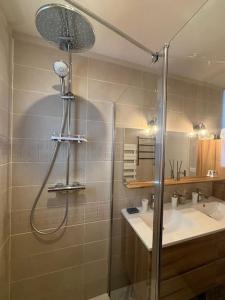 uma casa de banho com um chuveiro e um lavatório. em Maison aux Portes de Paris em Vitry-sur-Seine