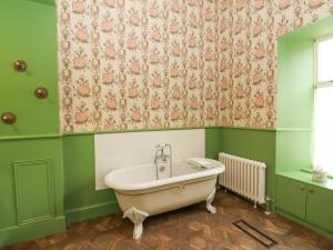 a bathroom with a bath tub in a green room at Derry - Mar Lodge Estate in Ballater
