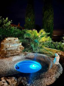 a miniature blue pond in a garden at night at SunVilla in Koper