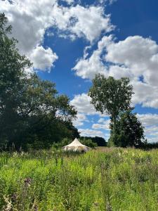 a tent in the middle of a field of flowers at Moat Island Glamping in Norwich