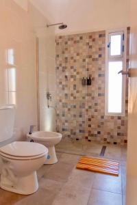 a bathroom with a toilet and a shower at Cabañas Los Viñadores in Villa Unión