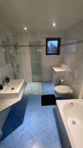 La salle de bains est pourvue d'une douche, de toilettes et d'un lavabo. dans l'établissement Am Sonnenberg, à Reichelsheim