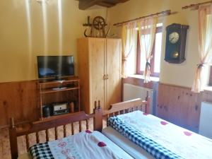1 dormitorio con 1 cama, TV y una bañera de hidromasaje en Jakuzzis,Szaunás,Kerkavendégház-Őrség-Csesztreg-Kerkaujfalu en Csesztreg