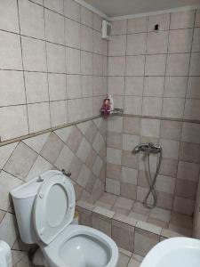 a bathroom with a toilet and a shower at Μεζονέτα Χιόνα in Chios
