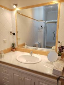 a bathroom with a sink and a large mirror at Casa Tagore in Utrera