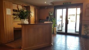 a kitchen with a counter with a potted plant at Hotel Ascot in Binasco